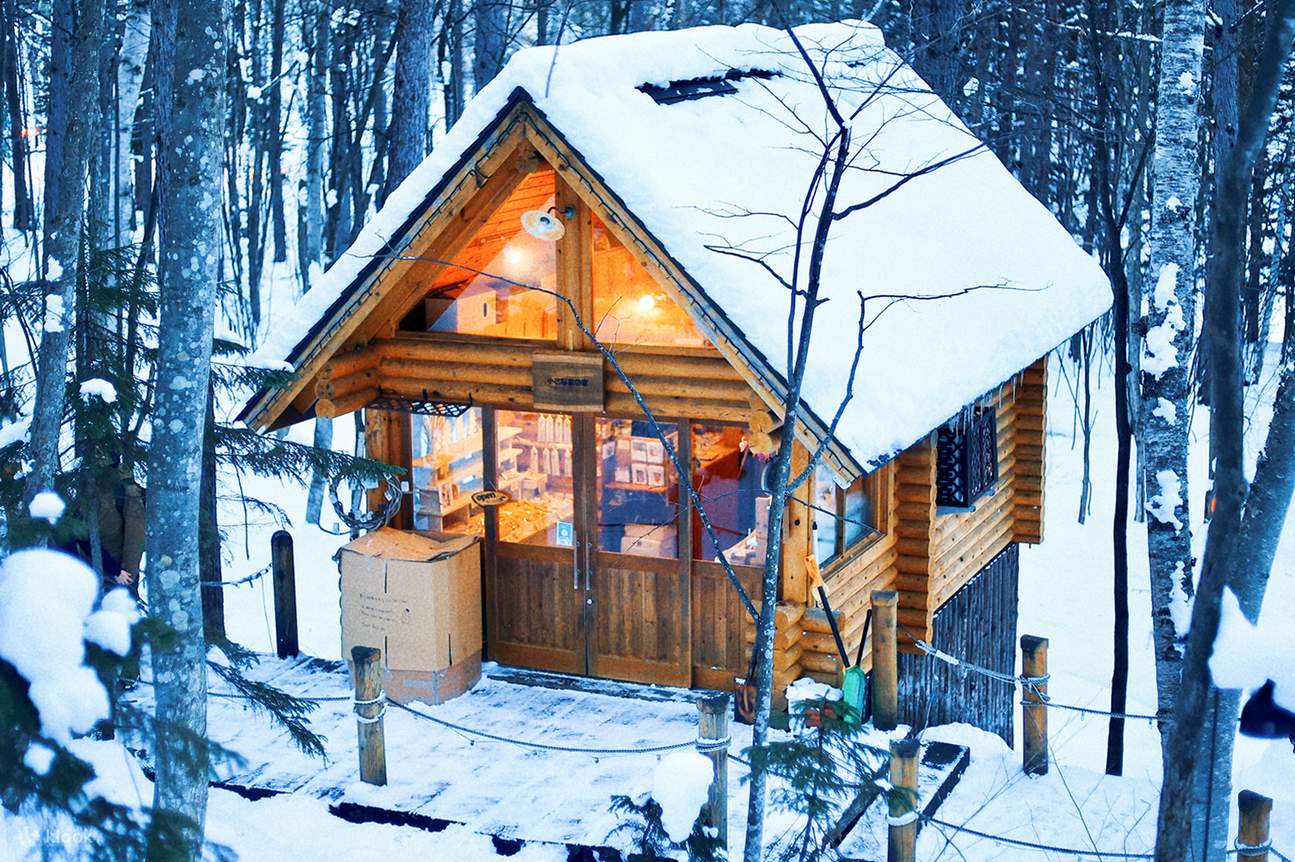 Winter Hokkaido | Asahiyama Zoo & Shikisai-no-oka & Blue Pond